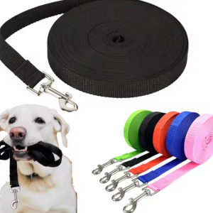TrainPro Long Leash