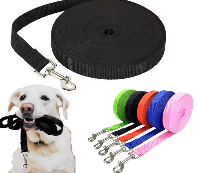 TrainPro Long Leash