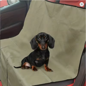 PawGuard Car Mat